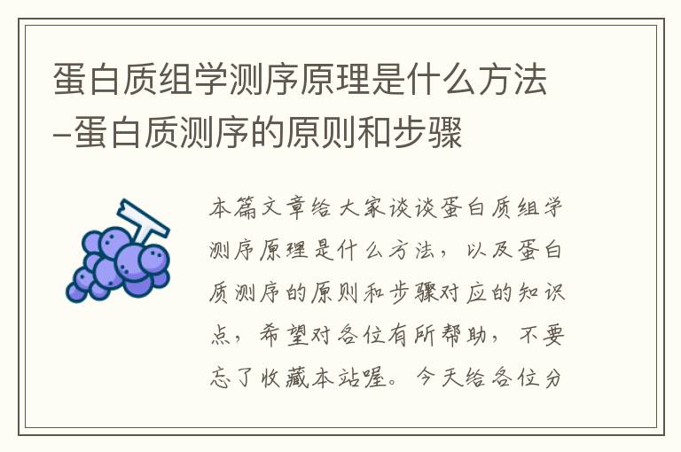 蛋白质组学测序原理是什么方法-蛋白质测序的原则和步骤