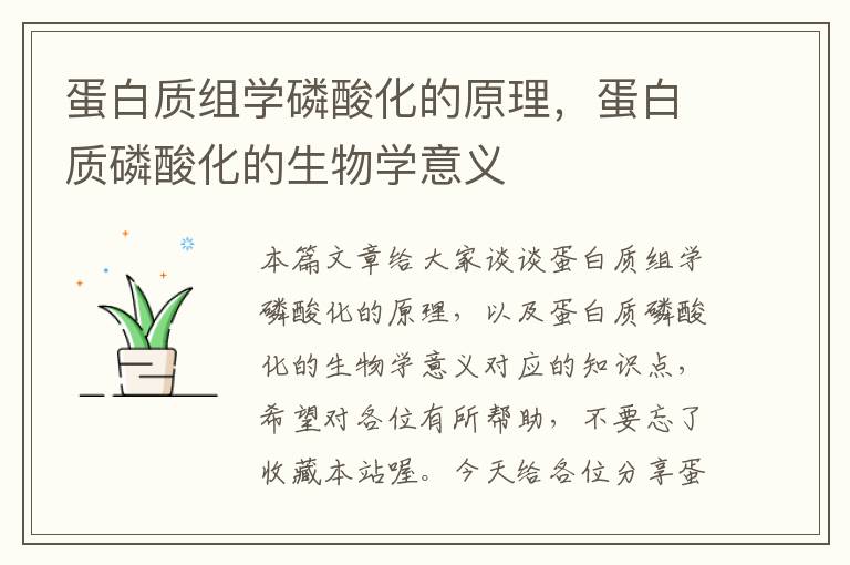 蛋白质组学磷酸化的原理，蛋白质磷酸化的生物学意义