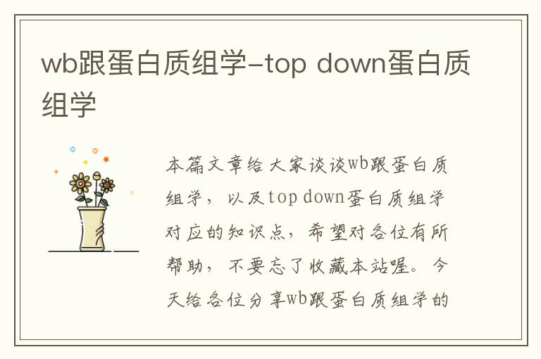 wb跟蛋白质组学-top down蛋白质组学