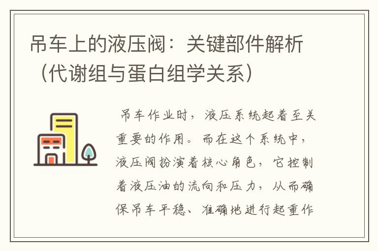 吊车上的液压阀：关键部件解析（代谢组与蛋白组学关系）