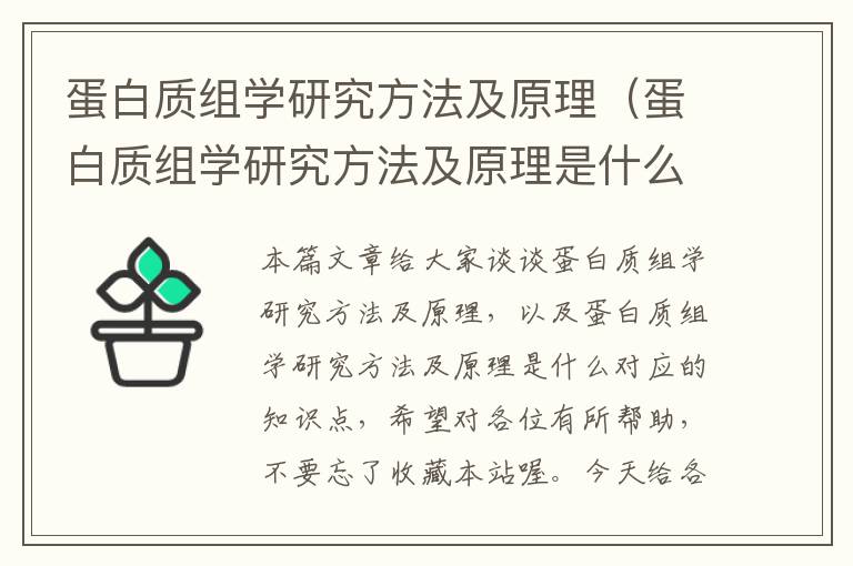 蛋白质组学研究方法及原理（蛋白质组学研究方法及原理是什么）