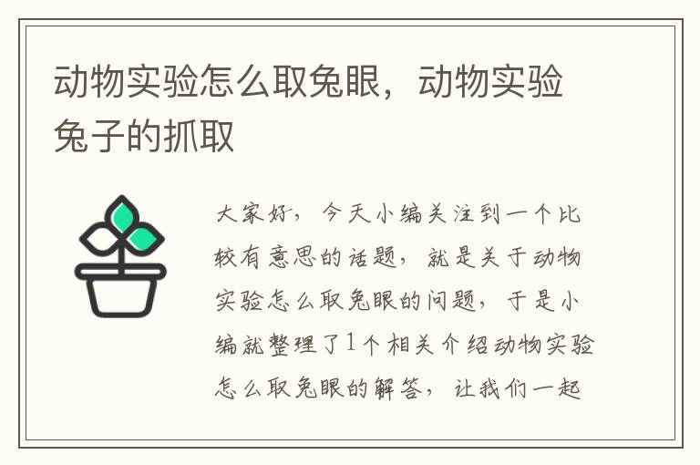 动物实验怎么取兔眼，动物实验兔子的抓取