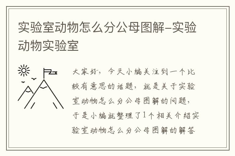 实验室动物怎么分公母图解-实验动物实验室