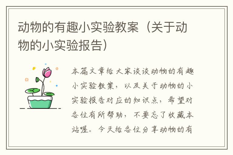 动物的有趣小实验教案（关于动物的小实验报告）