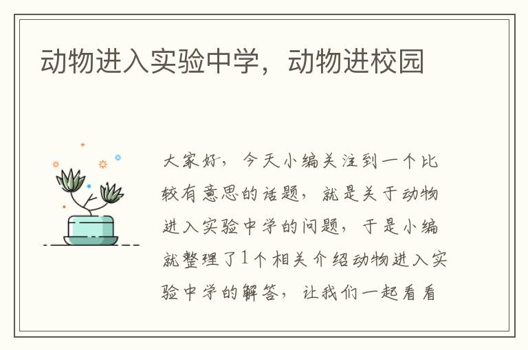 动物进入实验中学，动物进校园