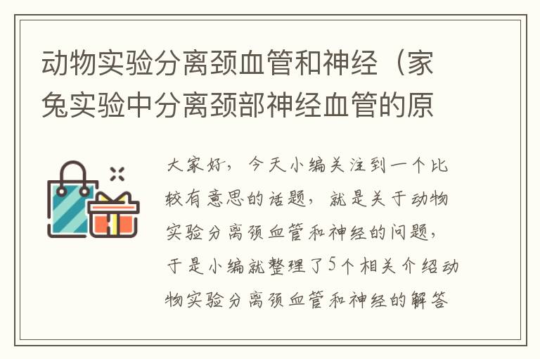 动物实验分离颈血管和神经（家兔实验中分离颈部神经血管的原则是）