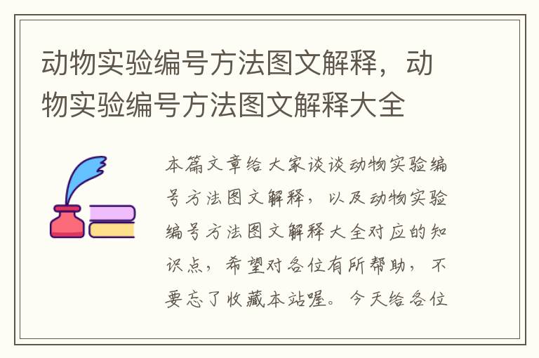 动物实验编号方法图文解释，动物实验编号方法图文解释大全