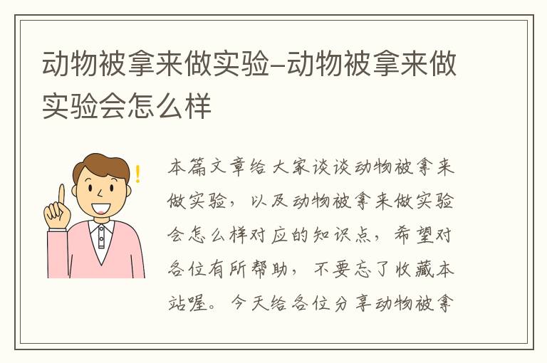 动物被拿来做实验-动物被拿来做实验会怎么样