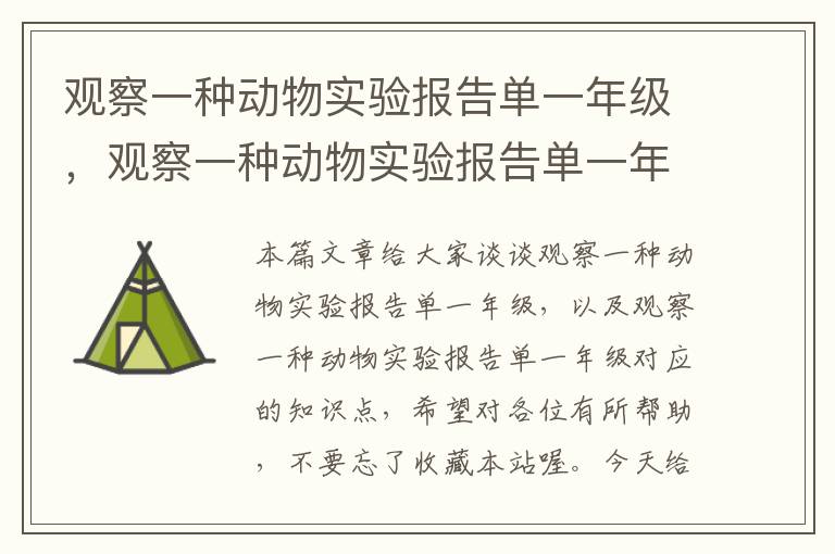 观察一种动物实验报告单一年级，观察一种动物实验报告单一年级