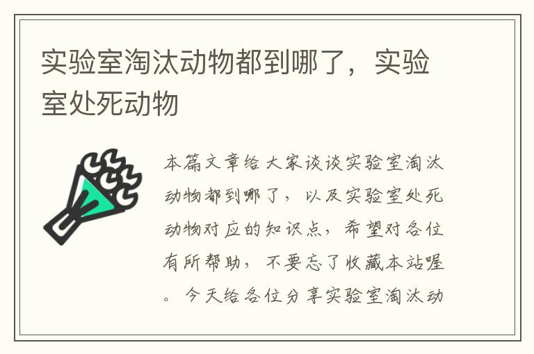 实验室淘汰动物都到哪了，实验室处死动物