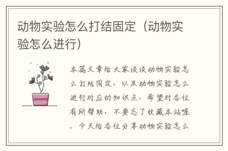 动物实验怎么打结固定（动物实验怎么进行）