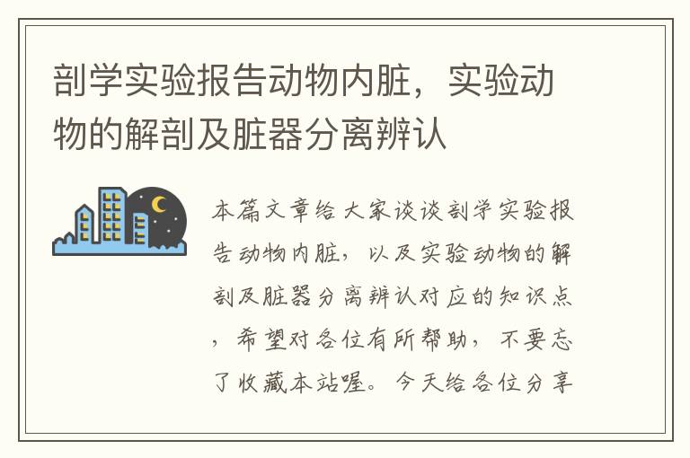 剖学实验报告动物内脏，实验动物的解剖及脏器分离辨认