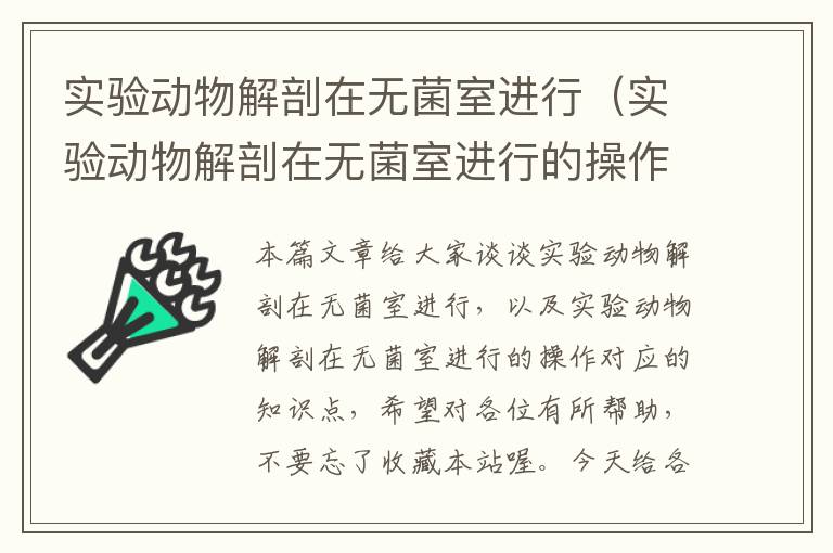 实验动物解剖在无菌室进行（实验动物解剖在无菌室进行的操作）