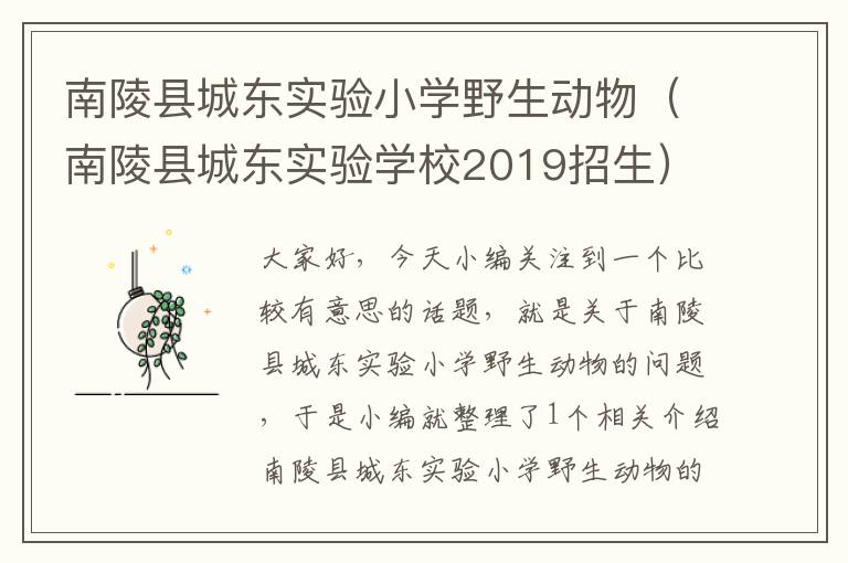 南陵县城东实验小学野生动物（南陵县城东实验学校2019招生）