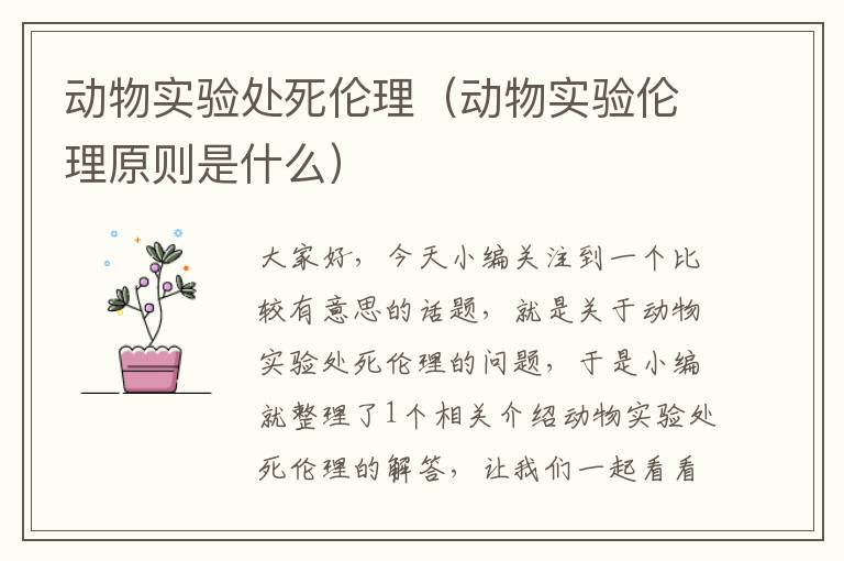 动物实验处死伦理（动物实验伦理原则是什么）