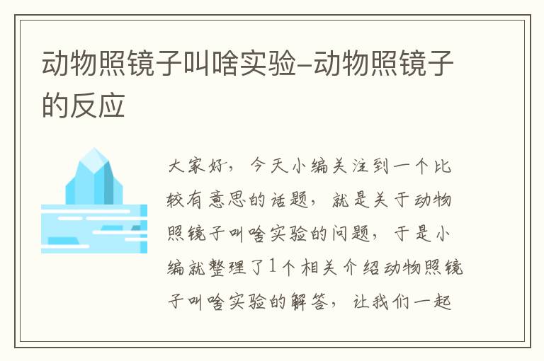 动物照镜子叫啥实验-动物照镜子的反应