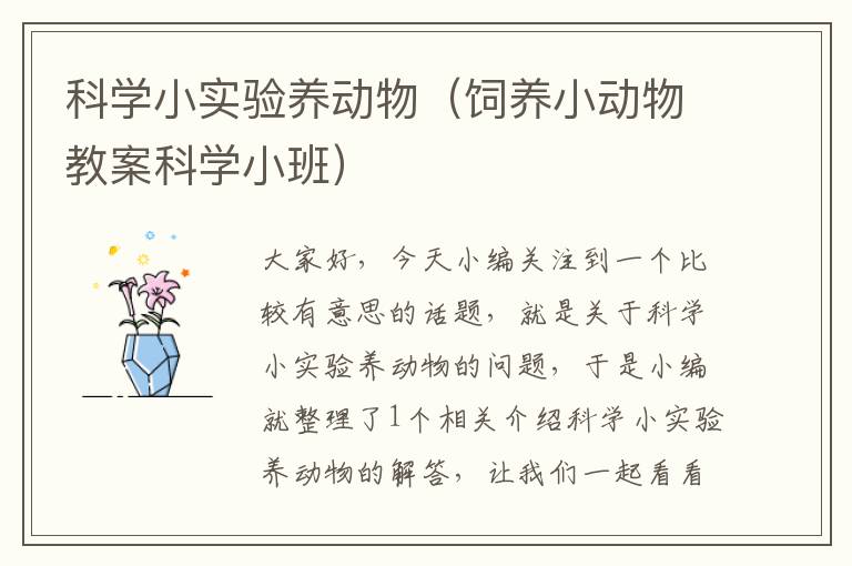 科学小实验养动物（饲养小动物教案科学小班）