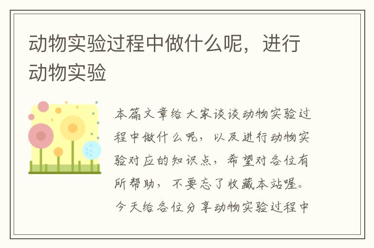 动物实验过程中做什么呢，进行动物实验