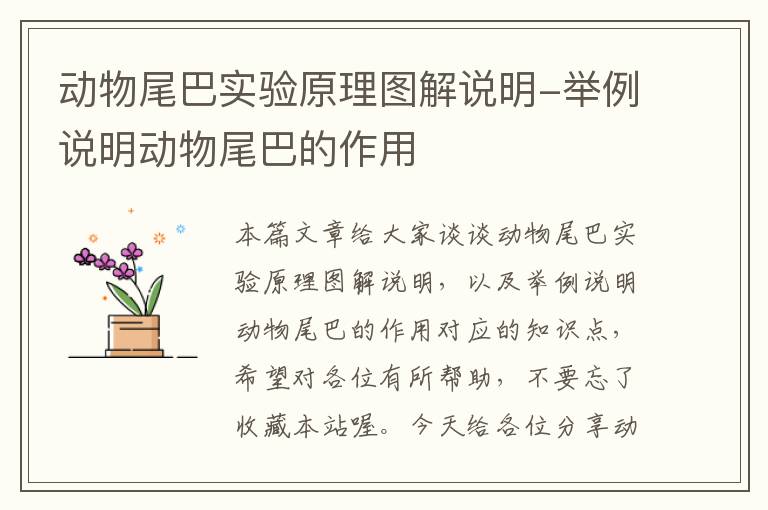 动物尾巴实验原理图解说明-举例说明动物尾巴的作用