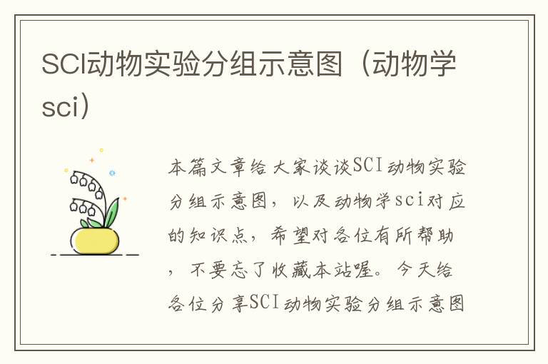 SCI动物实验分组示意图（动物学sci）