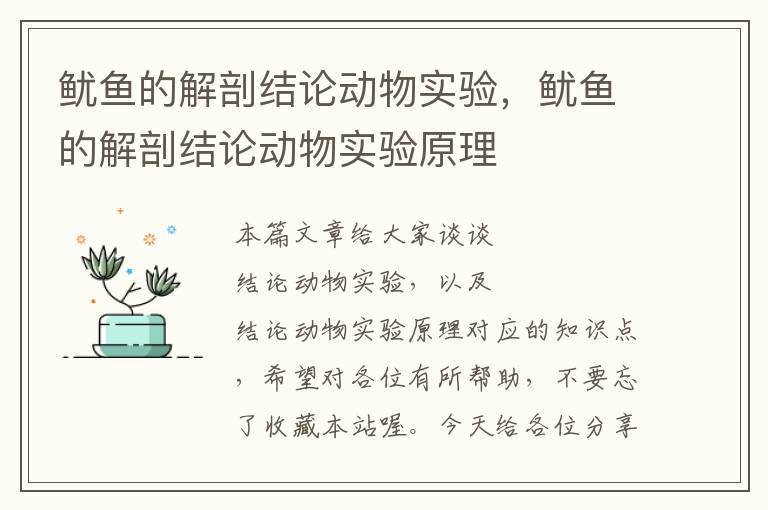 鱿鱼的解剖结论动物实验，鱿鱼的解剖结论动物实验原理